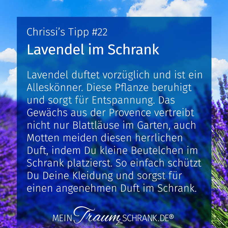Chrissis Tipps Lavendel im Schrank Chrissis Tipps Lavendel im Schrank